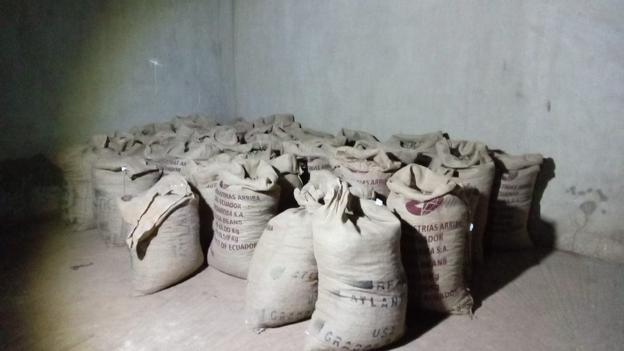 Premium Cashew Nuts