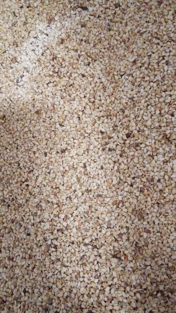 Natural Sesame Seeds